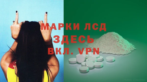 гидра Заволжье