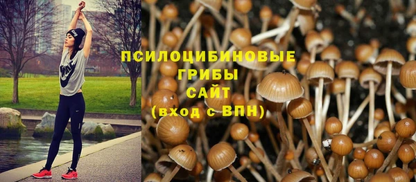 мефедрон мука Заводоуковск