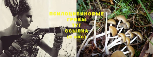 прущие крисы Елабуга